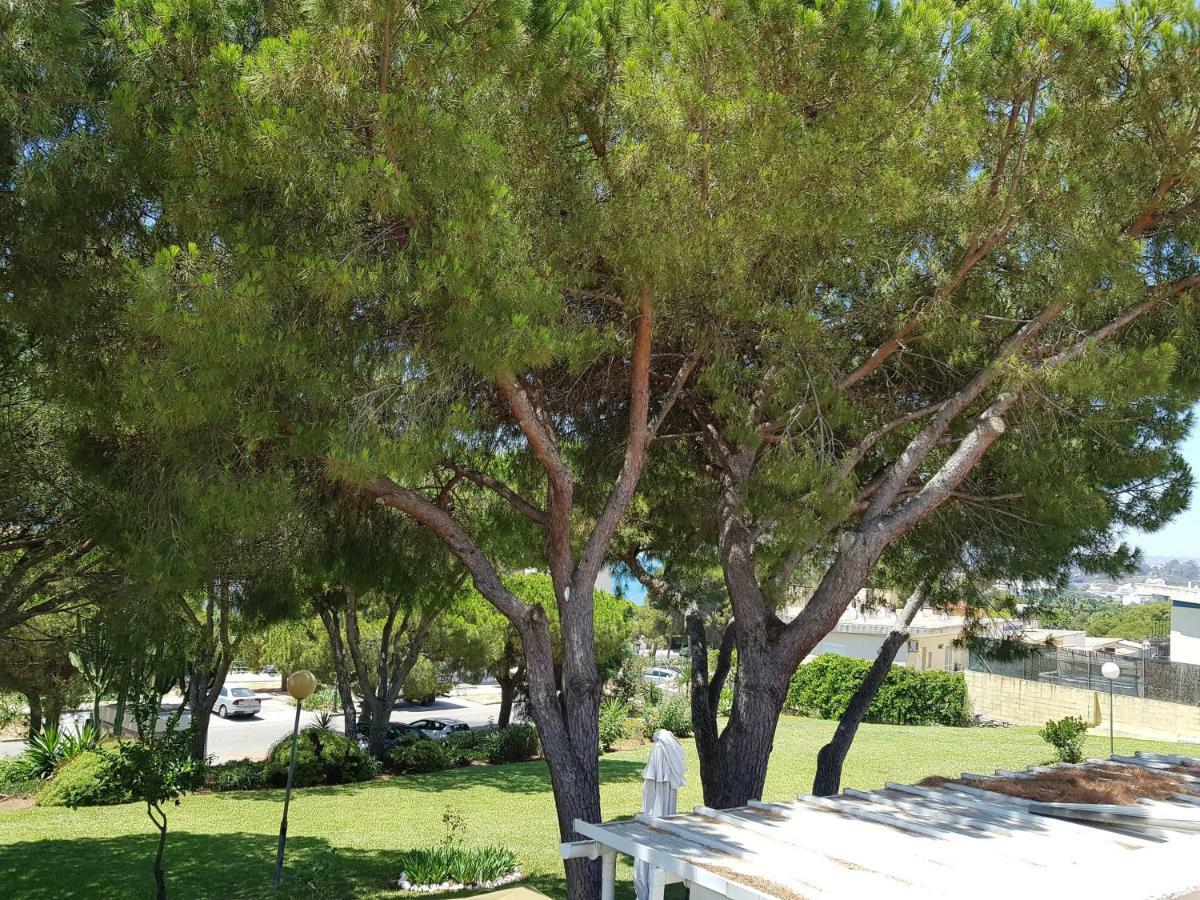 Lugar De La Luz Leilighet Estepona Eksteriør bilde
